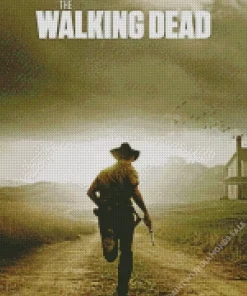 The Walking Dead Series Poster Diamond Painting