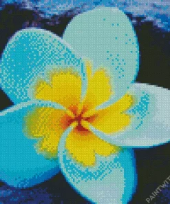 Tropical Frangipani Diamond Painting