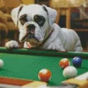 White Boxer Dog Diamond Painting