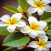 White Frangipanis Diamond Painting