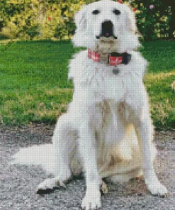 White Great Pyrenees Dog Diamond Painting