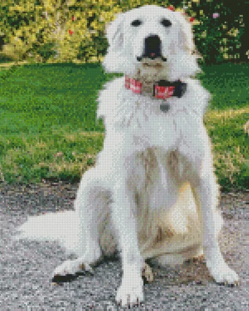 White Great Pyrenees Dog Diamond Painting