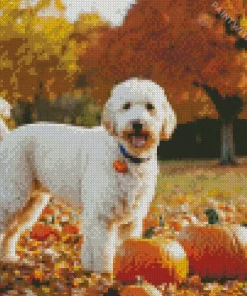 White Labradoodle Diamond Painting