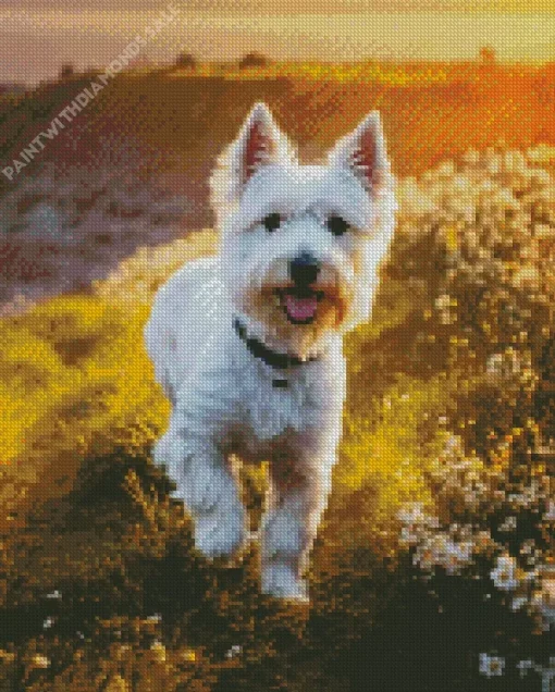 White West Highland Terrier Diamond Painting