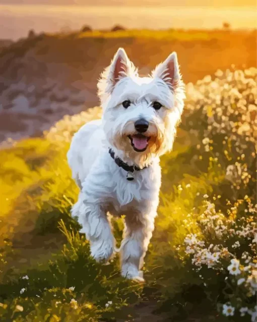 White West Highland Terrier Diamond Painting