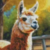 White Face Alpaca Diamond Painting