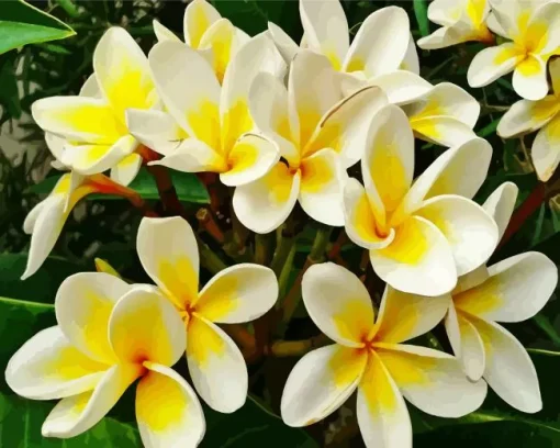 Yellow Frangipani Diamond Painting