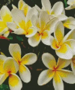 Yellow Frangipani Diamond Painting