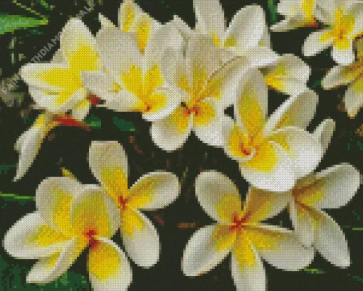 Yellow Frangipani Diamond Painting