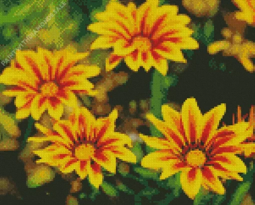 Yellow Gazania Flowers Diamond Painting