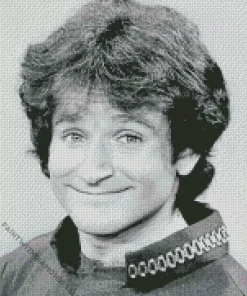 Young Robin Williams Diamond Painting