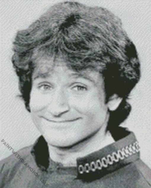 Young Robin Williams Diamond Painting