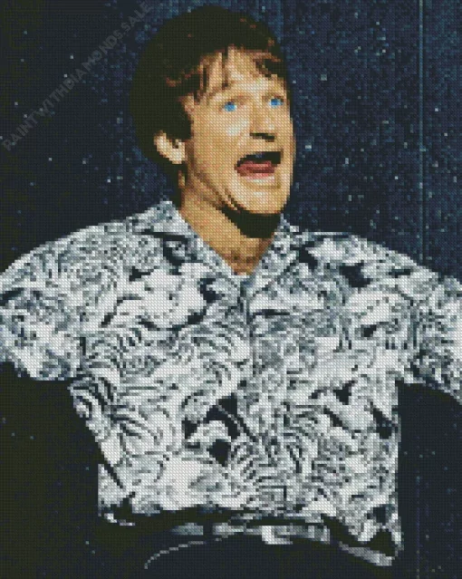 Younger Robin Williams Diamond Painting