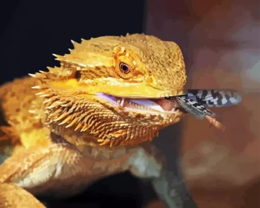 Bearded Dragon Eating Diamond Painting