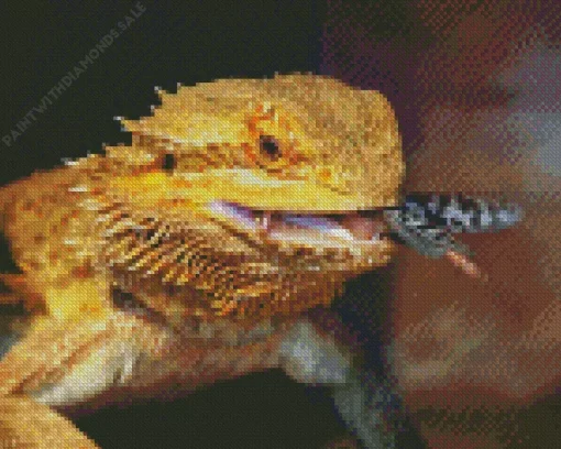 Bearded Dragon Eating Diamond Painting