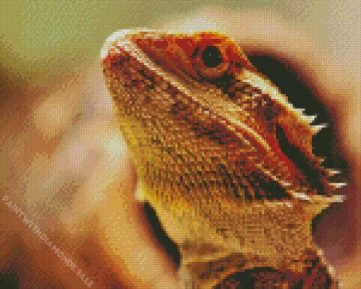 Pogona Lizard Diamond Painting