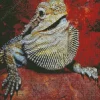 Bearded Dragon Pogona Diamond Painting