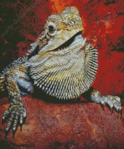 Bearded Dragon Pogona Diamond Painting