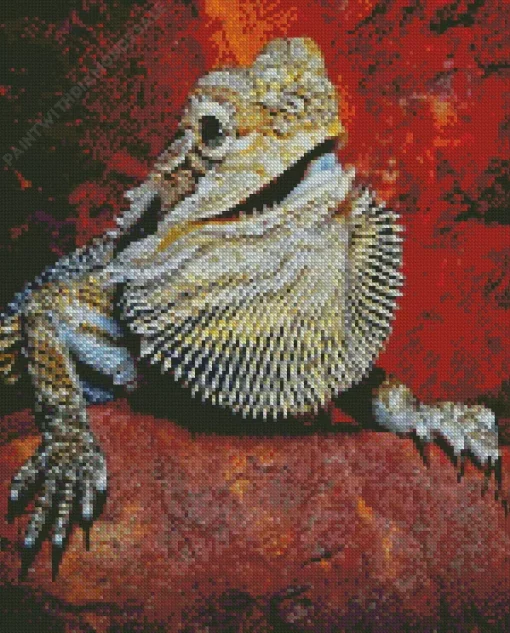 Bearded Dragon Pogona Diamond Painting