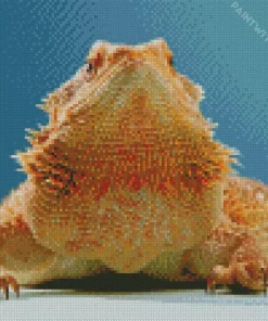 Bearded Dragon Reptile Diamond Painting