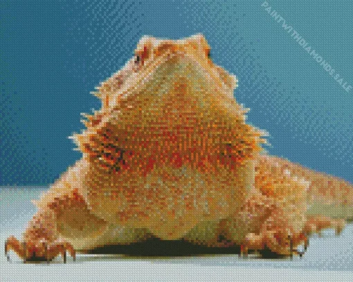 Bearded Dragon Reptile Diamond Painting