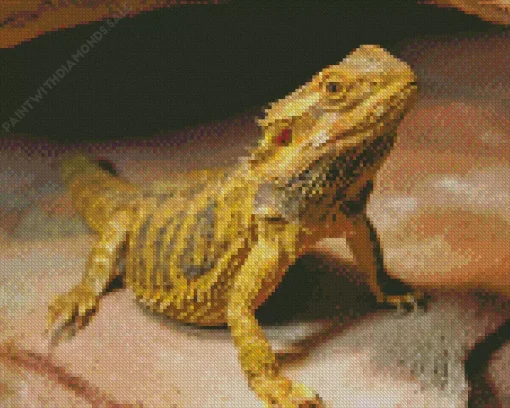 Bearded Dragon Lizard Diamond Painting