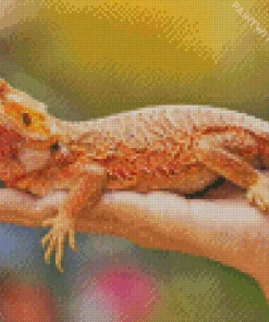 Aesthetic Bearded Dragon Reptile Diamond Painting