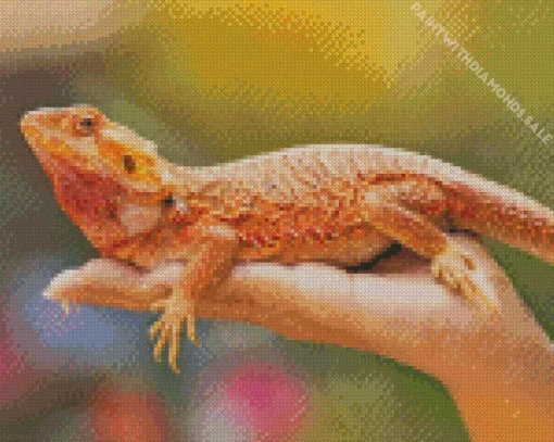 Aesthetic Bearded Dragon Reptile Diamond Painting