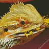 Bearded Dragon Eating Flower Diamond Painting