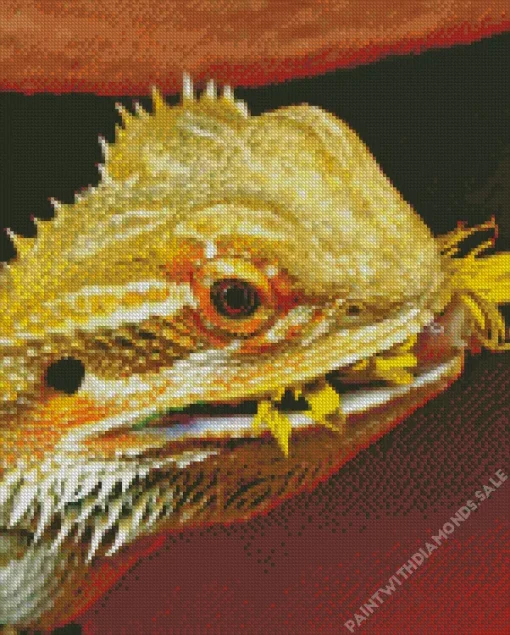 Bearded Dragon Eating Flower Diamond Painting