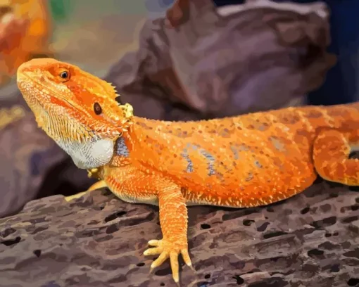 Orange Bearded Dragon Diamond Painting