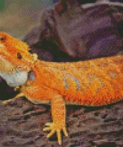 Orange Bearded Dragon Diamond Painting