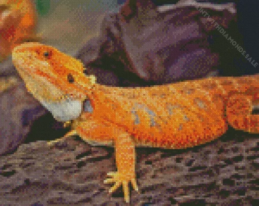 Orange Bearded Dragon Diamond Painting