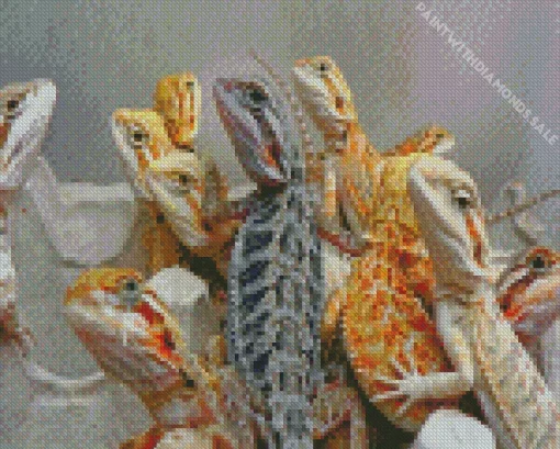 Pogona Bearded Dragon Diamond Painting