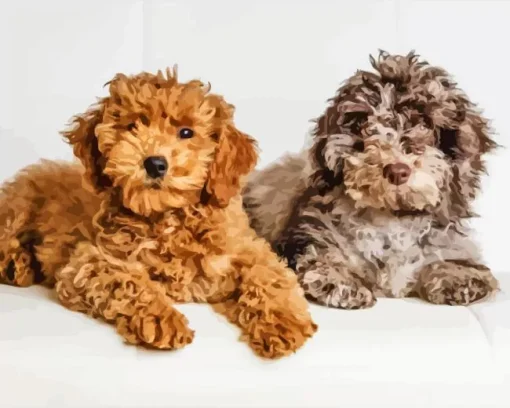 Beige And Brown Cockapoo Diamond Painting