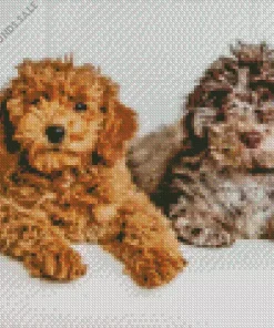 Beige And Brown Cockapoo Diamond Painting