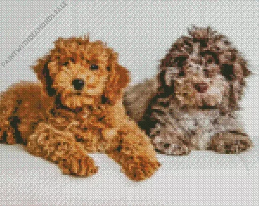 Beige And Brown Cockapoo Diamond Painting