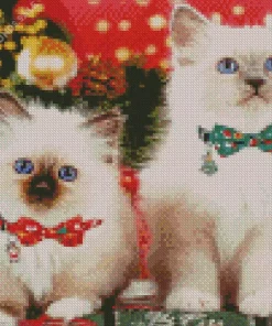 Birman Kittens Diamond Painting