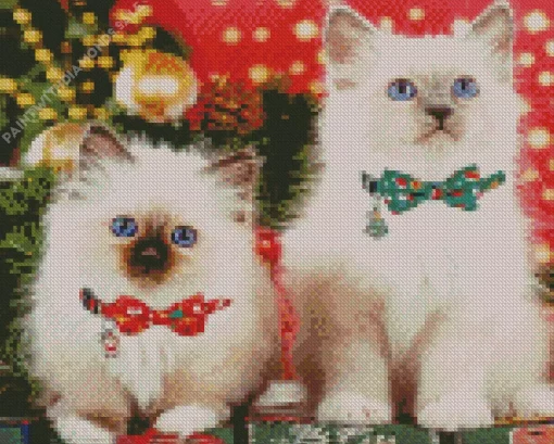 Birman Kittens Diamond Painting