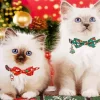 Birman Kittens Diamond Painting