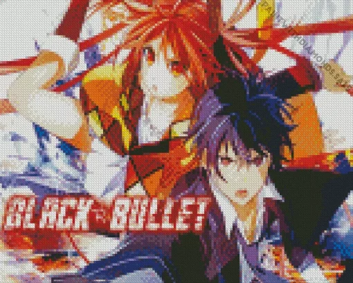 Black Bullet Anime Poster Diamond Painting