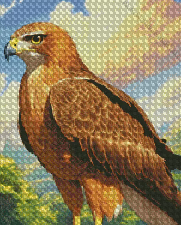 Black Kite Diamond Paintings Black Kite Diamond Painting
