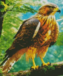 Black Kite Bird Diamond Painting