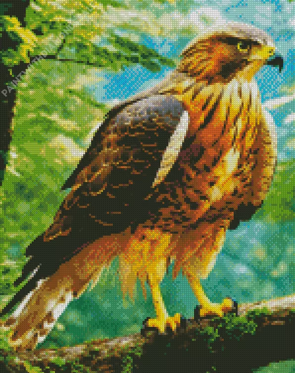 Black Kite bird Diamond Paintings Black Kite Bird Diamond Painting
