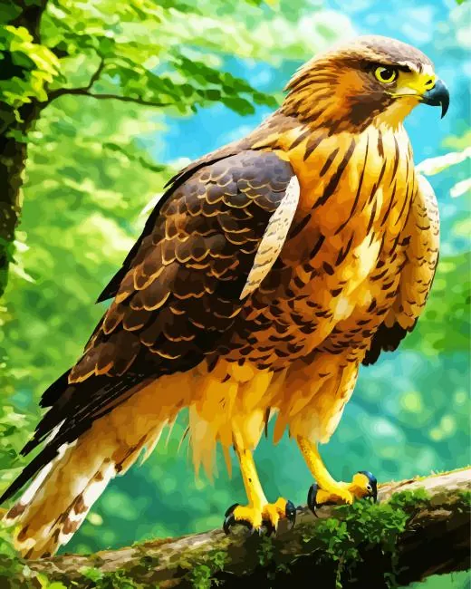 Black Kite bird Diamond With Numbers Black Kite Bird Diamond Painting