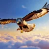 Black Kite Flying Diamond Painting