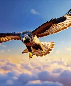 Black Kite Flying Diamond Painting