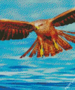 Black Kite Flying Over Sea Diamond Painting