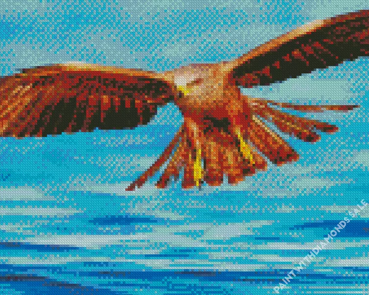 Black Kite flying over sea Diamond Paintings Black Kite Flying Over Sea Diamond Painting