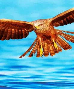 Black Kite Flying Over Sea Diamond Painting